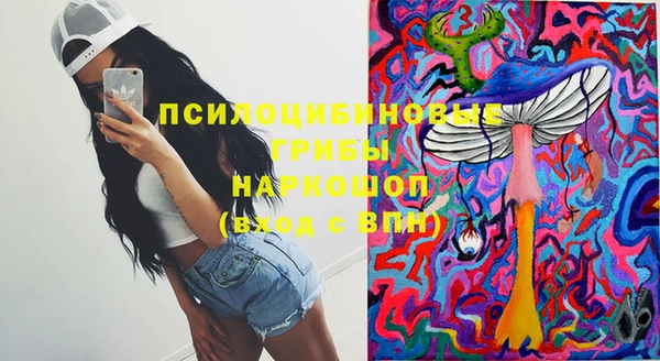 дживик Белоозёрский