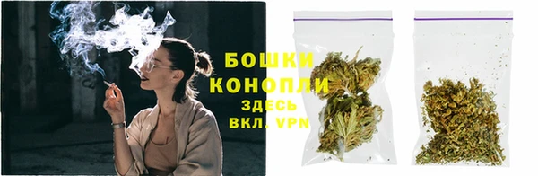 сатива Белокуриха