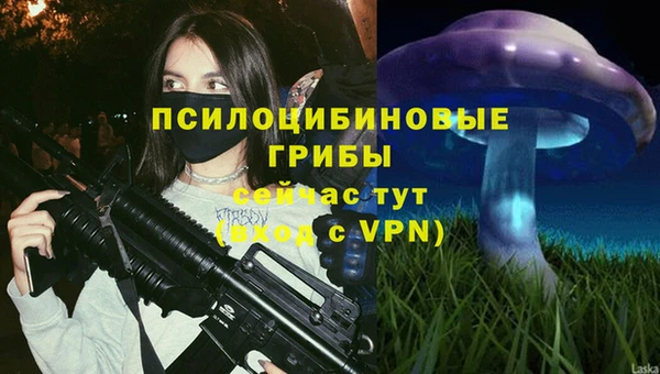 ГАЛЛЮЦИНОГЕННЫЕ ГРИБЫ Беломорск