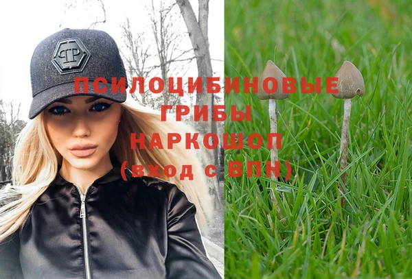 сатива Белокуриха