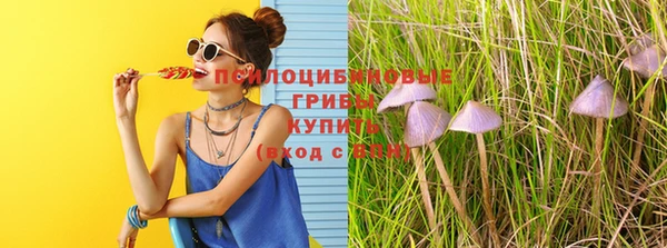 дживик Белоозёрский