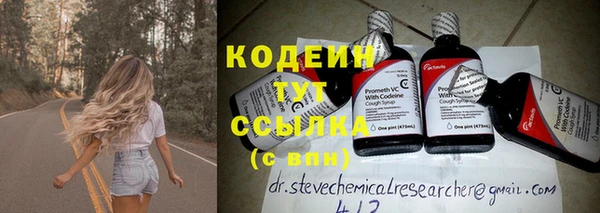 сатива Белокуриха